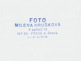 cca 1975 Milena Hruskova (Prága): Csíkos a divat, pecséttel jelzett, 18x13 cm