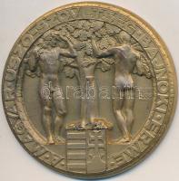 Göröntsér Greff Lajos (1888-1976) 1920. "A Magyar Úszó-Szövetség Bajnoki Érme / 1927. Folyambajnokság III." aranyozott Br díjérem (50mm) T:2