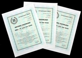 Budapest 1991. "Középületépítő Vállalat" ingyenes vagyonjegye 1000Ft-ról (3x) sorszámkövetők T:I-