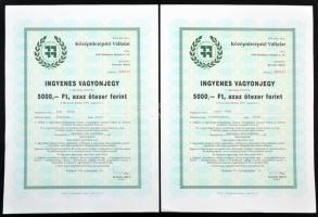 Budapest 1991. "Középületépítő Vállalat" ingyenes vagyonjegye 5000Ft-ról (2x) sorszámkövetők T:I-,III