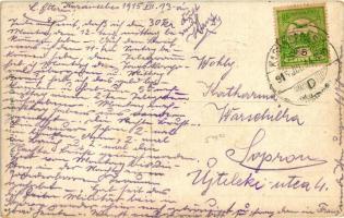 Karánsebes, Temes híd / bridge