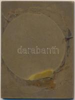 Iván István (1905-1968) DN "Csepel Vas- és Fémművek Alapítva 1893" Br emlékplakett (60x45m...