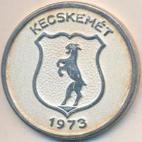 1973. "Kecskemét 1973 / Országos Zöldségtermesztési Bemutató II. díj" ezüstözött Br díjérem (36mm) T:2