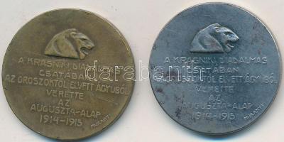 Murányi Gyula (1881-1920) 1915. "A Krasniki diadalmas csatában az oroszoktól elvett ágyúból verette az Auguszta-Alap" 2db Br emlékérem, egyik ezüstözött (29,5mm) T:2-