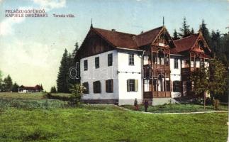 Felsőzúgó-fürdő, Terezia villa / villa