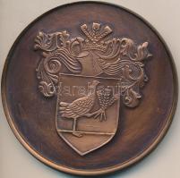 1989. "Városavatás Balmazújváros - Anno 1989" Br emlékérem (80mm) T:2,2- felületi karc