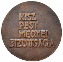 1977. "KISZ 1957-1977 / KISZ Pest Megyei Bizottsága" Br emlékérem. Szign.: BI (81mm) T:2-