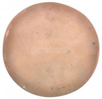 1976. "Nyírbátori Zenei Napok" Br plakett (113mm) T:2