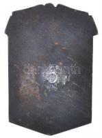 1909. "Testvériség Sport Egyesület" fém plakett (72x51mm) T:2 csavar letört