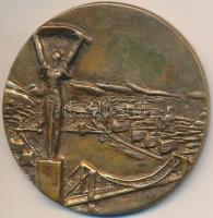 Lessenyei Márta (1930-) ~1970. "Budapest Főváros Tanácsa" Br emlékérem (68mm) T:2