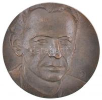 Győrfi Sándor (1951-) 1984. "Váci Mihály Emlékbizottság - Születésének 60. évfordulójára - Nyíregyháza" Br plakett (82mm) T:2