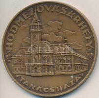 Csúcs Viktória (1934-1993) DN "Hódmezővásárhely Tanácsháza" Br emlékérem (60mm) T:1