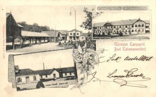 Tarcsafürdő, Bad Tatzmannsdorf; Gyógyudvar, Anna fürdő / spa, yard, floral (fl)