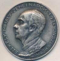 1974. "Székely Mihály Zenei Napok Jászberény" ezüstözött Br plakett (60mm) T:2