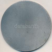 1974. "Székely Mihály Zenei Napok Jászberény" ezüstözött Br plakett (60mm) T:2