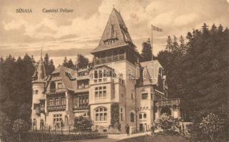 Sinaia, Castelul Pelisor / castle (Rb)