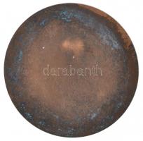 Búza Barna (1920-2010) 1961. "XIX. Kerületi Ady Endre Úti Iskola 1911-1961" Br emlékérem (...