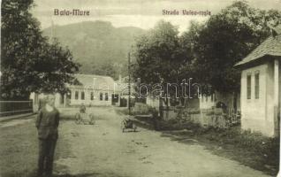 Nagybánya, Strada Valea Rosie / utca / street 'vissza' So. Stpl