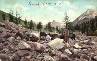 Altai Mountains, Kouragane river