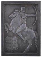 ~1940. "Honvéd Sportversenyek" Zn plakett "LUDVIG BP." gyártói jelzéssel. Szign.: HERKE (70x50mm) T:2