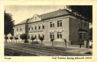 Csurgó, Gróf Festetics György fiúnevelő intézet (Rb)