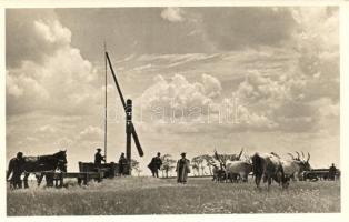 Hortobágy, gémes kútnál