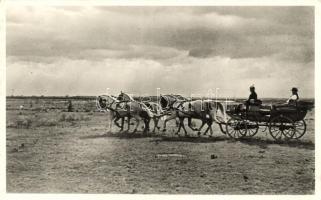 Hortobágy, Ötösfogat