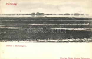 Hortobágy, délibáb, kiadja Eperjesy István