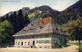 Schwarzwald Posthalde