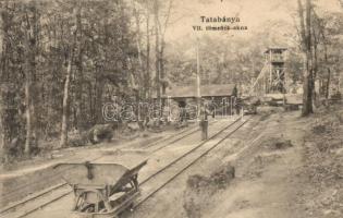 Tatabánya, VII. tömdeék akna (fa)