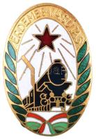 ~1960-1970. "Érdemes Vasutas" aranyozott, zománcozott Br jelvény eredeti tokban (44mm) T:1-