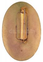 ~1960-1970. "Érdemes Vasutas" aranyozott, zománcozott Br jelvény eredeti tokban (44mm) T:1...