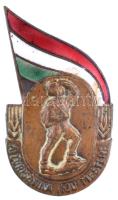 ~1950-1960. "A turisztika ifjú mestere" zománcozott Br jelvény (49x27mm) T:2