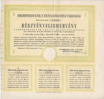 Budapest 1946. "Goldberger Sám. F. és Fiai Részvénytársaság" részvényelismervénye 80P-ről szelvényekkel T:II-