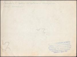 1943 tavaszán, Szarvason a Tessedik Sámuel szobor leleplezési ünnepségén részt vevő politikusok és v...