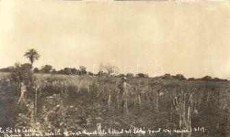 14 db RÉGI használatlan külföldi városképes lap, vegyes minőség; mexikói fotólapok / 14 old unused f...