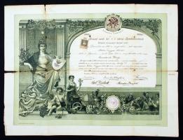1911 Brassó, Brassó szab. kir. r.t. város ipartestülete által adományozott hangszerkészítő litho mesterlevél, 60x45 cm
