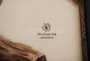 Benczúr jelzéssel: Papagáj, akvarell, papír, 31x23cm