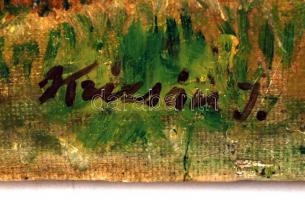 Krizsán jelzéssel: Nagybányai táj, olaj, vászon, apró festék lepattanással, 40x50cm