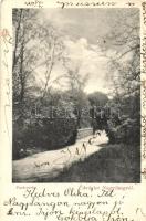 Nagyláng, park, híd (Rb)