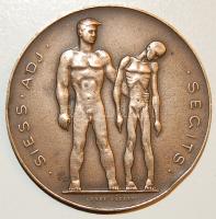 1947. "Siess-Adj-Segíts" Br plakett. Szign:Loósz József T:2 ph