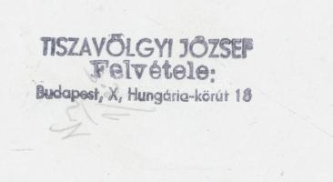 Tiszavölgyi József: Dunai hajó tisztjei, pecséttel jelzett fotó, 18x13 cm