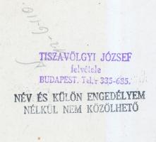 Tiszavölgyi József: Beszállás a MALÉV gépbe, pecséttel jelzett fotó, 18x13 cm