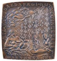 Csontos László (1925-2013) DN "MTA Mezőgazdasági Kutatóintézete, Martonvásár" Br plakett (123x112mm) T:2