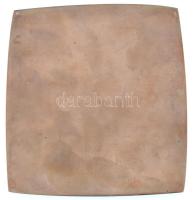 Csontos László (1925-2013) DN "MTA Mezőgazdasági Kutatóintézete, Martonvásár" Br plakett (...