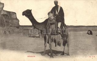 Bedouin, folklore, camel (EK)
