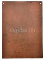 1965. "Vasipari Kutató Intézet Ózd 1965" Br plakett (108,5x76mm) T:2- két lyuk felfüggeszt...