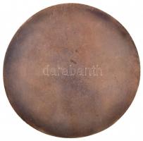 Török Richárd (1954-) DN "Gróf Széchenyi István" Br plakett (122-125mm) T:2