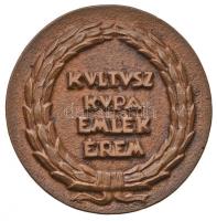 Csúcs Ferenc (1905-1999) 1946. "Kultusz Kupa Emlékérem" Br emlékérem (55mm) T:2-