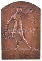 Sződy Szilárd (1878-1939) 1928. "Budapesti Egyetemi Athlétikai Club 1898" Br plakett (70x46mm) T:2